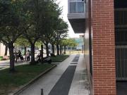 Piso en Venta en Sansomendi