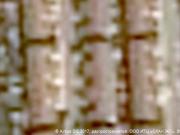 Piso en Venta en Sant Julià del Llor i Bonmatí