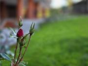 Piso en Venta en Santa Bárbara La Zaporra