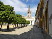 Piso en venta en Sevilla, Centro Santa Cruz Catedral Piso en venta en Sevilla, Centro Santa Cruz Catedral