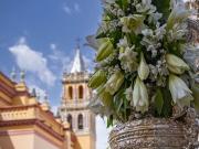 Piso en venta en Sevilla, Pedro Salvador Las Palmeritas....