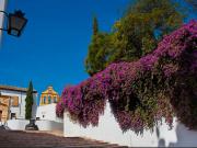 Piso en Venta en Sta. Marina San Andrés San Pablo San...