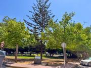 Piso en Venta en Torrevieja