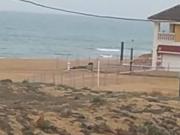 Piso en Venta en Torrevieja