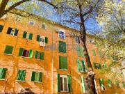 Piso en Venta en Tres Olivos Valverde