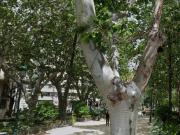 Piso en Venta en València