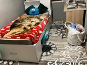 Piso en venta en Valencia, L´Amistat. Pisos.