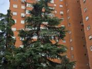 Piso en Venta en Valleaguado La Cañada