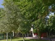 Piso en venta en Vitoria Gasteiz, Judimendi. Pisos Vitoria.