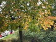 Piso en Venta en Zona Fernández Ladreda