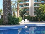 Piso en Venta en Zona Levante Playa Fossa