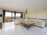 Piso, Establiments, Palma de Mallorca