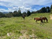 Piso exclusivo en venta en Retiro, Departamento de Antioquia