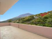 Piso, Icod de los Vinos