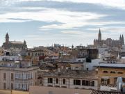 Piso, La Missio Mercat, Palma de Mallorca