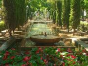 Piso, La Missio Mercat, Palma de Mallorca