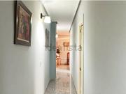Piso, Linares
