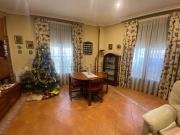 Piso, Linares