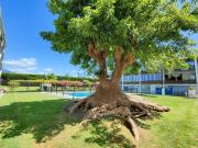 Piso, Linda Vista Nueva Alcántara Cortijo Blanco, Marbella