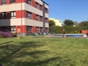 Piso, Oleiros