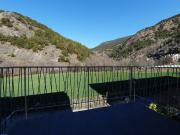 Piso, Ordino