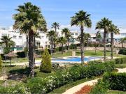 Piso, Orihuela