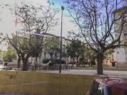 Piso, Palma Palmilla, Málaga