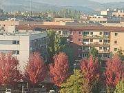 Piso, Pamplona/Iruña