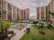 Piso, Paus, Alicante / Alacant