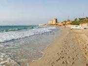 Piso, Pilar de la Horadada