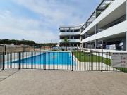 Piso, Pilar de la Horadada