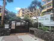 Piso, Puerto de la Cruz