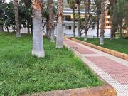 Piso, Puerto de la Cruz
