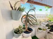 ✨ Piso reformado en Tercer Milenio, Mérida: moderno,...