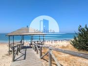 Piso, Rota
