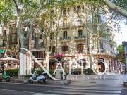 Piso, Sant Nicolau, Palma de Mallorca