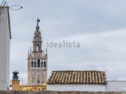 Piso, Santa Cruz Alfalfa, Sevilla