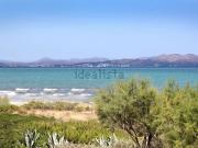 Piso, Santa Margalida