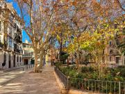 Piso, Sindicat, Palma de Mallorca