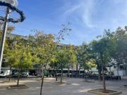 Piso, Son Gotleu, Palma de Mallorca