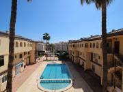 Piso, Torrevieja