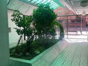 Piso, Valladolid
