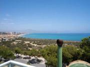 Piso Venta Alicante Alacant, Alicante Alacant