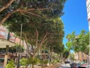 Piso Venta Almería Capital, Oliveros Altamira Barrio Alto