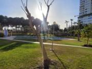 Piso Venta Benidorm, Platja de Ponent