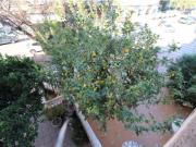 Piso Venta Cartagena, San Antonio Abad Ciudad Jardín