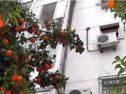 Piso Venta Córdoba Capital, Campo de la Verdad...