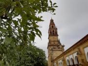 Piso Venta Córdoba Capital, La Viñuela Rescatado