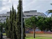 Piso Venta El Puerto de Santa María, Victoria El Juncal