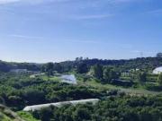 Piso Venta Estepona, Estepona